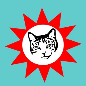 cat star