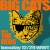 big_cats